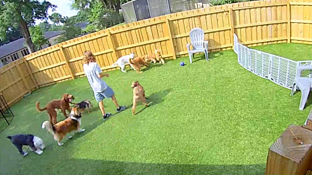 daycare