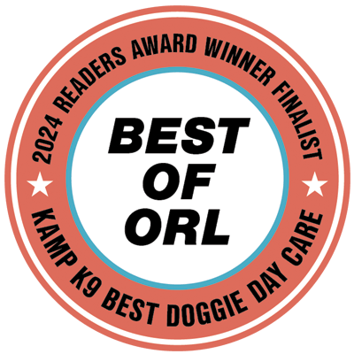 kamp-k9-award1